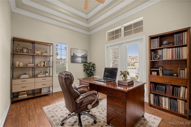 1789 N Sky Glen Path, Hernando, FL 34442 - office space featuring plenty of natural light, hardwood / wood-style floors, a tray ceiling, and ornamental molding
