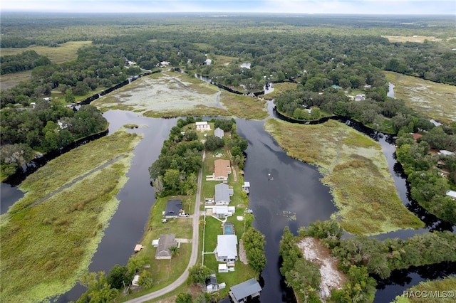 4306 E Gloria Dr, Hernando, FL 34442 - aerial view of property and surrounding area featuring a large body of water and a heavily wooded area
