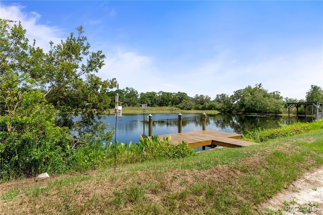 4306 E Gloria Dr, Hernando, FL 34442 - dock area with a water view