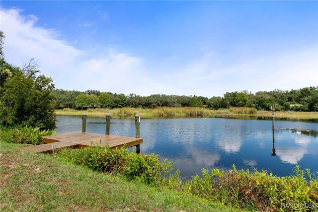 4306 E Gloria Dr, Hernando, FL 34442 - dock area with a water view