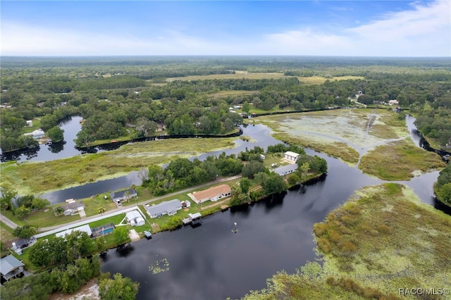 4306 E Gloria Dr, Hernando, FL 34442 - aerial view of property's location featuring a large body of water and a forest
