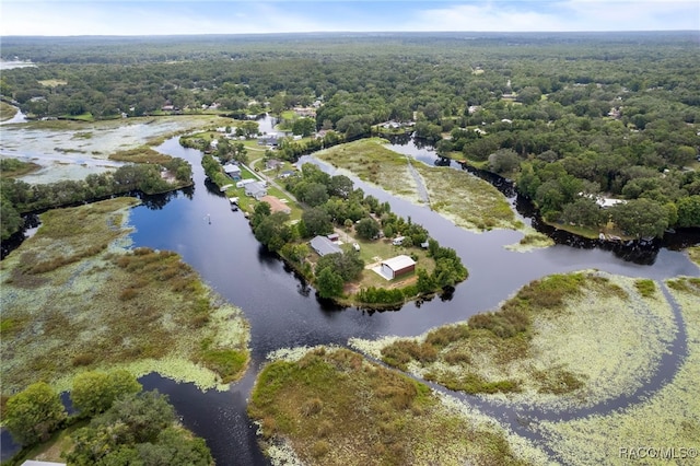 4306 E Gloria Dr, Hernando, FL 34442 - aerial view of a nearby body of water and a heavily wooded area