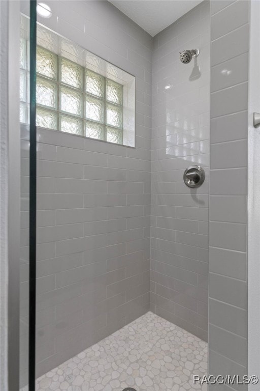 4306 E Gloria Dr, Hernando, FL 34442 - bathroom featuring a shower stall