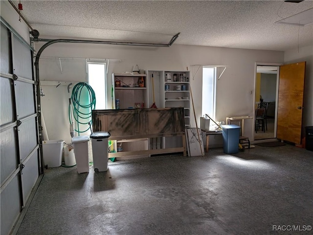 10482 S Clint Loop, Floral City, FL 34436 - view of garage