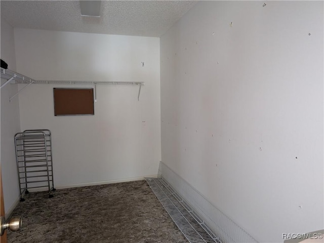 10482 S Clint Loop, Floral City, FL 34436 - spacious closet featuring carpet