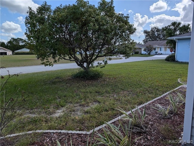 10482 S Clint Loop, Floral City, FL 34436 - view of grassy yard