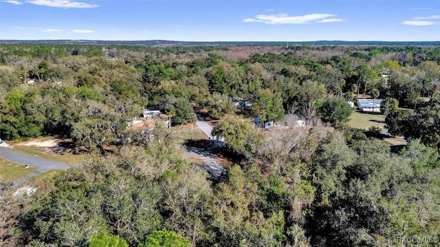 150 S Hibiscus Ave, Crystal River, FL 34429 - photo 30