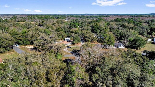 150 S Hibiscus Ave, Crystal River, FL 34429 - photo 29