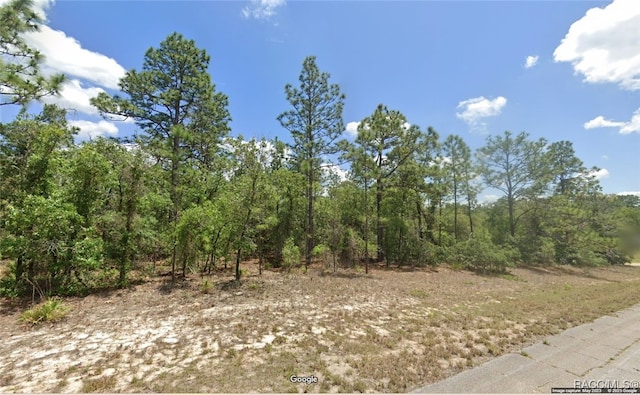 9884 N Lathyrus Ter, Dunnellon, FL 34433 - photo 1