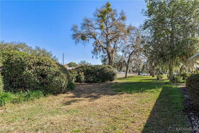 3585 N Willowtree Pt, Beverly Hills, FL 34465 - view of grassy yard