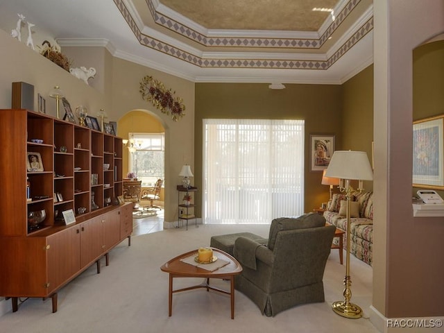 sitting room featuring light carpet, crown molding, and a raised ceiling