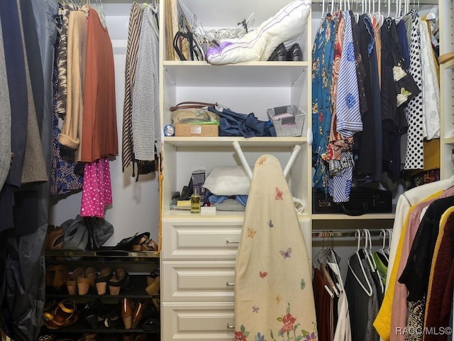 view of spacious closet