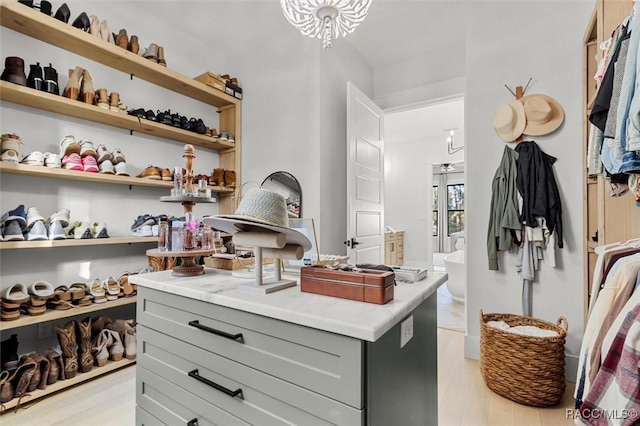 walk in closet featuring light hardwood / wood-style floors