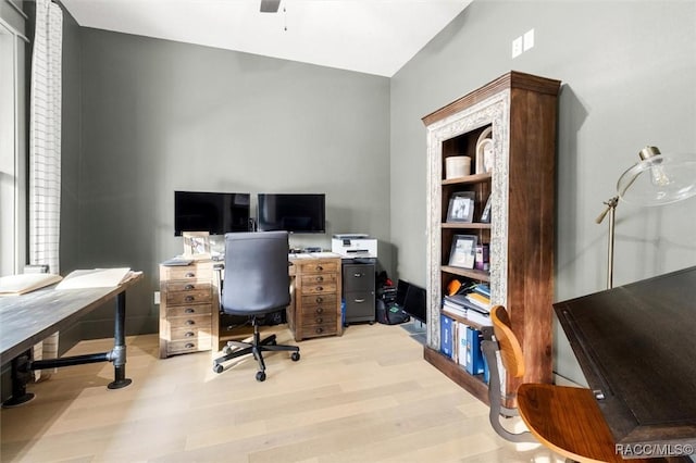 office with ceiling fan and light hardwood / wood-style flooring