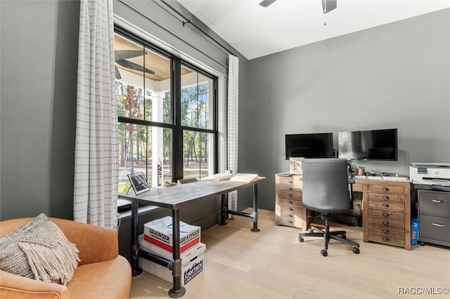 office with ceiling fan and light hardwood / wood-style flooring