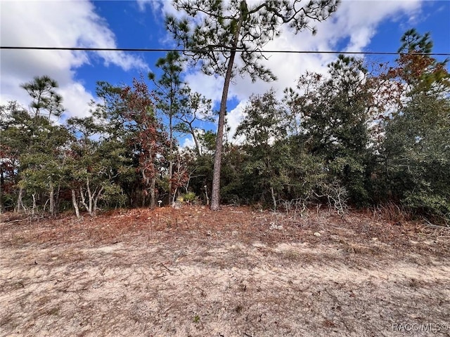 6328 W Pine Ridge Blvd, Beverly Hills, FL 34465 - photo 4
