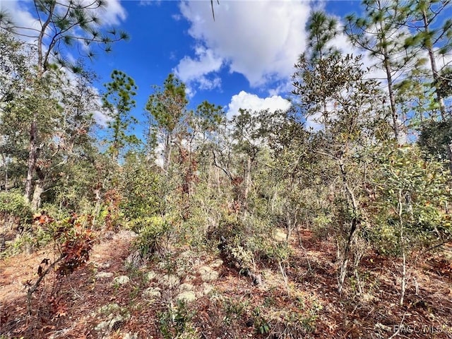 6328 W Pine Ridge Blvd, Beverly Hills, FL 34465 - photo 8