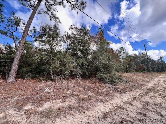 6328 W Pine Ridge Blvd, Beverly Hills, FL 34465 - photo 6