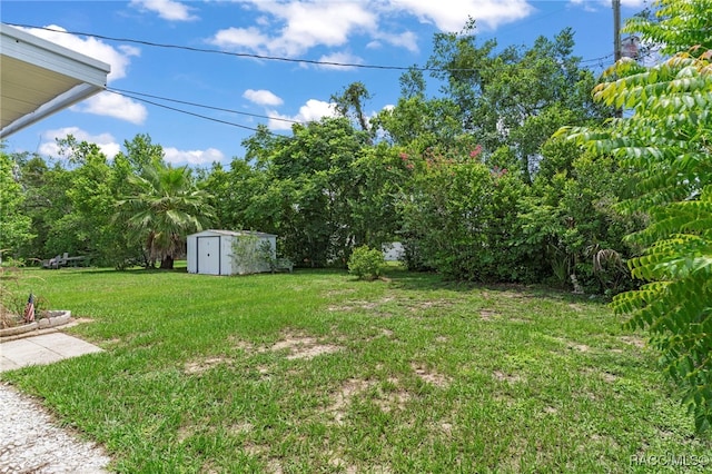 7 N Monroe St, Beverly Hills, FL 34465 - photo 34