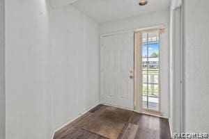 foyer entrance with dark hardwood / wood-style floors