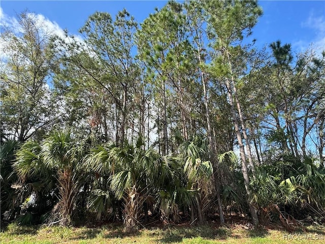 630 N Country Club Dr, Crystal River FL, 34429 land for sale