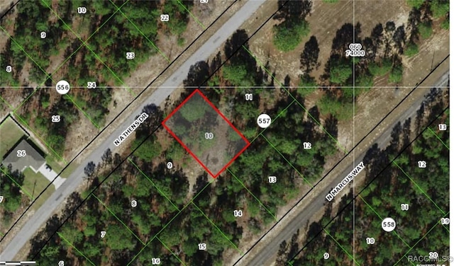 9195 N Athens Dr, Citrus Springs FL, 34433 land for sale