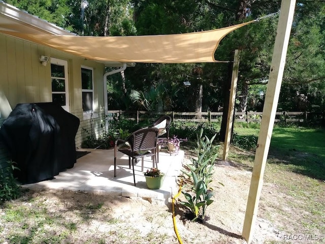 view of patio / terrace featuring area for grilling