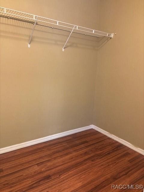 walk in closet with dark wood finished floors