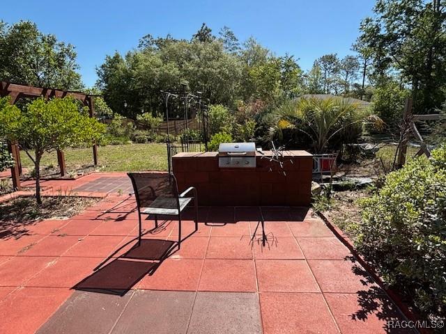 view of patio / terrace with area for grilling
