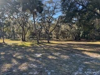 20 Cove Rd, Inglis FL, 34449 land for sale