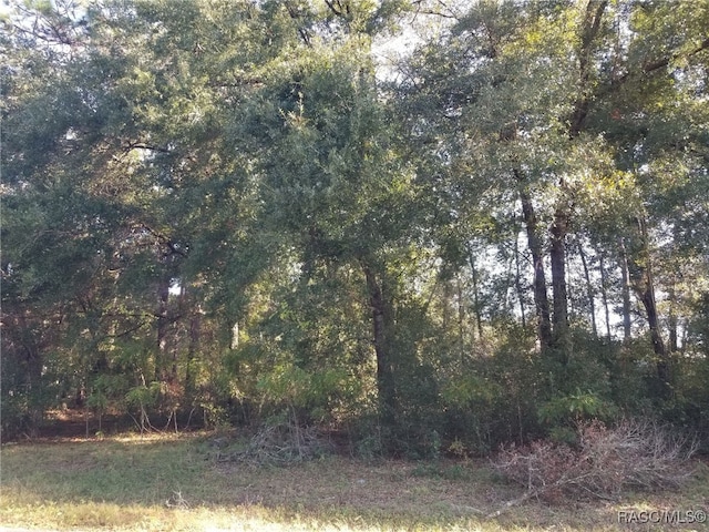 7791 N Creek Way, Citrus Springs, FL 34434