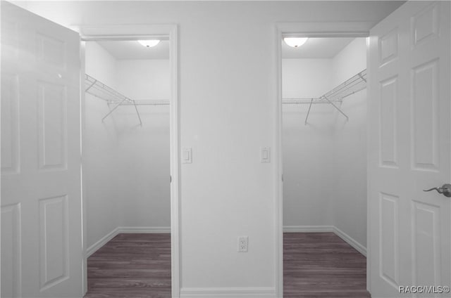 walk in closet with dark hardwood / wood-style floors