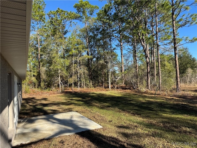 view of yard featuring a patio