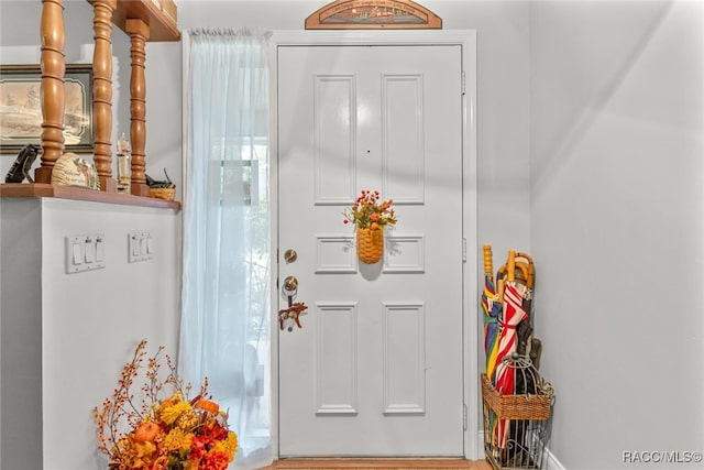 doorway featuring wood-type flooring