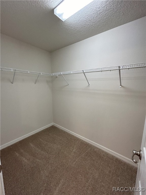 walk in closet featuring carpet flooring