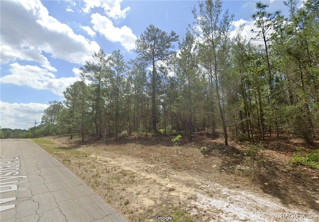 3972 W Drysdale Ln, Citrus Springs FL, 34433 land for sale