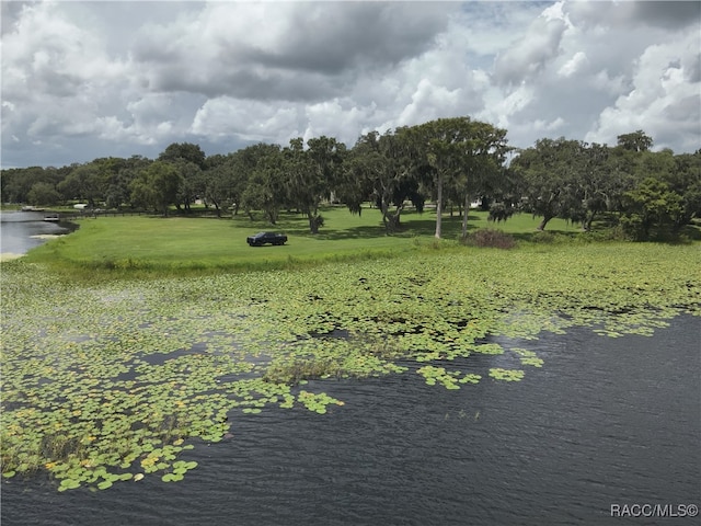 view of community featuring a lawn and a water view