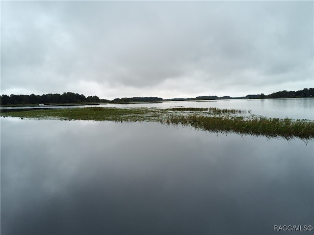 property view of water