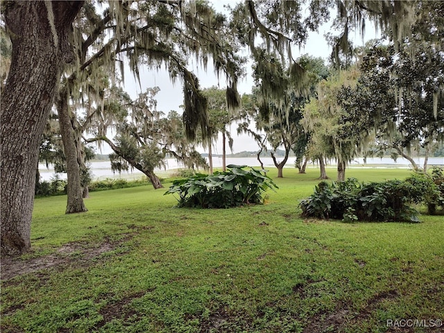 view of yard featuring a water view