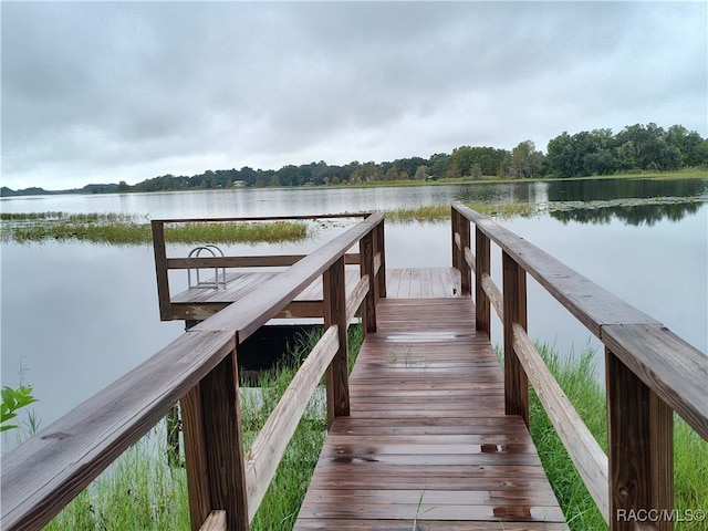 dock area with a water view