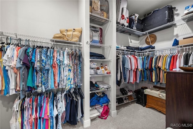 spacious closet featuring carpet flooring
