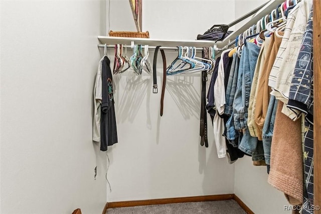 spacious closet with carpet floors