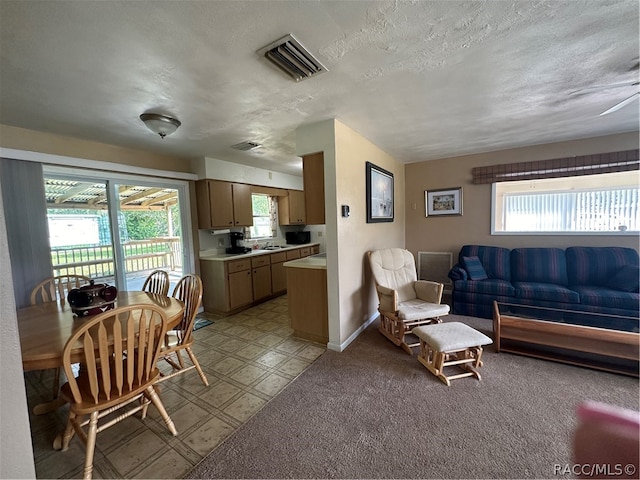 living room with a textured ceiling and a healthy amount of sunlight