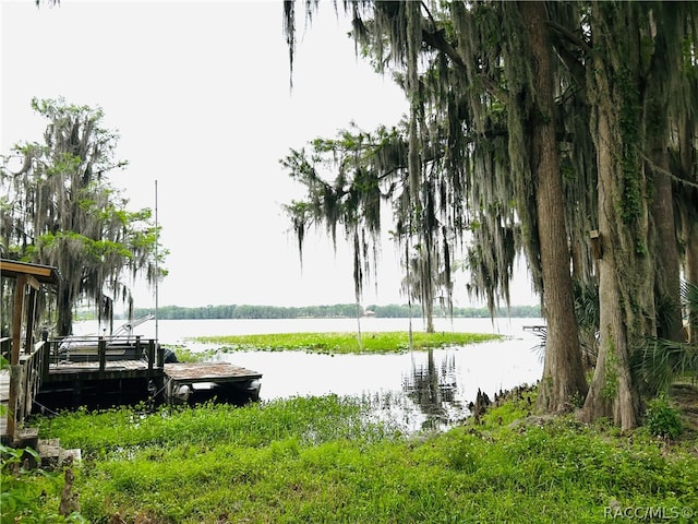 property view of water featuring a dock