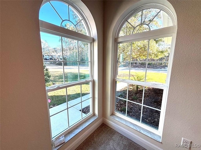 doorway featuring plenty of natural light and carpet flooring