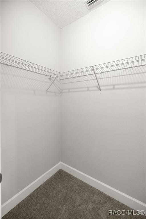 walk in closet featuring carpet flooring