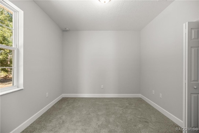 additional living space with light carpet