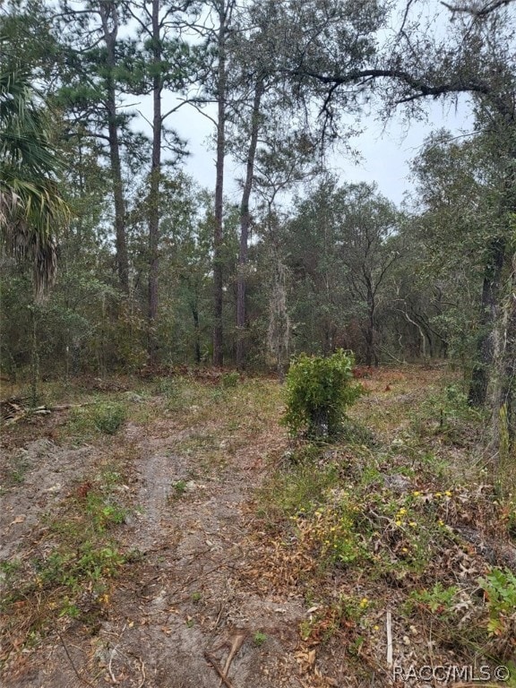 XX 125th Ct, Dunnellon FL, 34431 land for sale