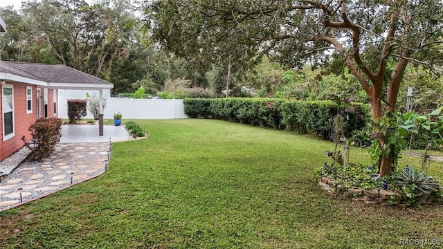 view of yard with a patio area