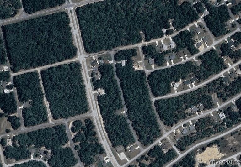 8753 N Zurich Way, Citrus Springs, FL 34434
